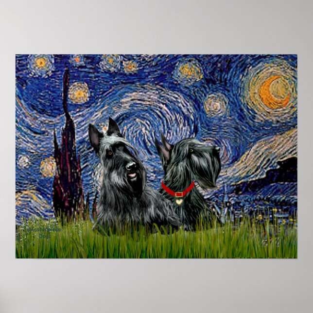 Scottish Terrier (två svarta) - Starry Night Poster (Framsidan)