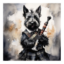 Scottish Terrier, uppspelning i Bagpipe i Kilt Blä