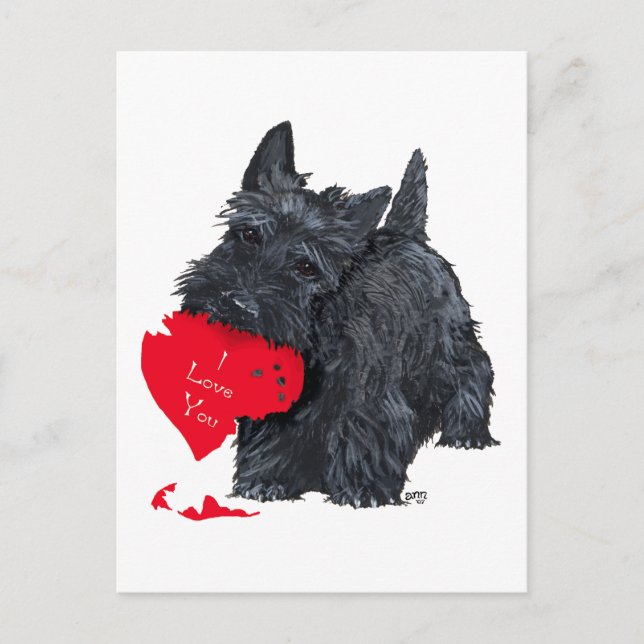 Scottish Terrier Valentine Helg Vykort (Framsida)