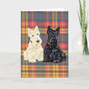 Scottish Terrier Välkomstkort Kort