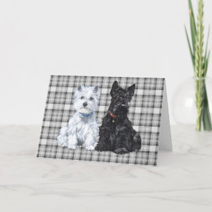Scottish Terrier Välkomstkort Kort