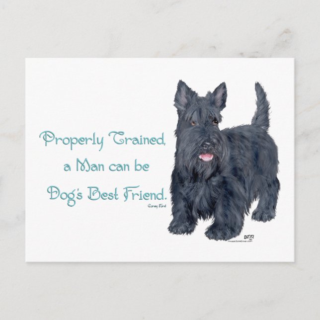 Scottish Terrier Visdom & Klokhet - Träning Vykort (Framsida)