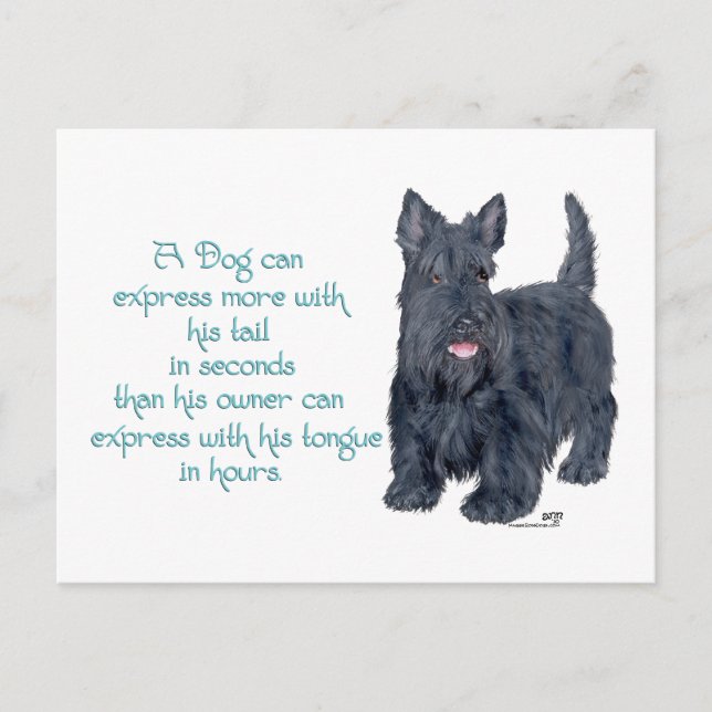Scottish Terrier Visdom & Kvickhet - Talande Vykort (Framsida)