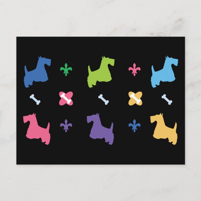 Scottish Terrier Vykort (Framsida)