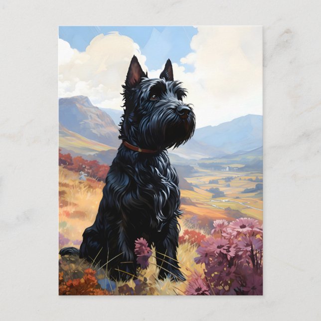 Scottish Terrier Vykort (Framsida)