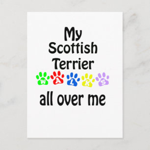 Scottish Terrier Walks Design Vykort
