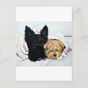 Scottish Terrier & Yorkie Best Friends Vykort