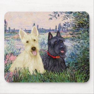 Scottish Terriers (2-BW) - by Seine Musmatta