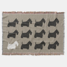 Scottish Terriers | Black and White Scottie Hundar