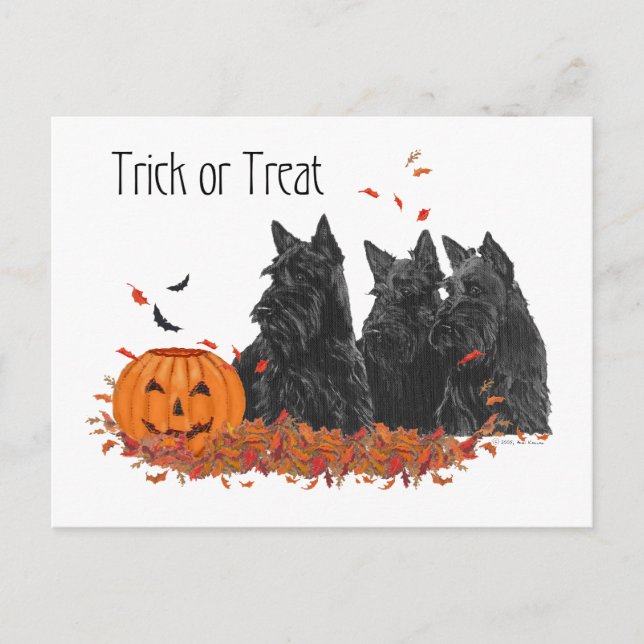 Scottish Terriers Halloween Vykort (Framsida)