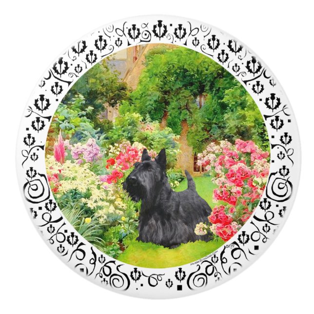 Scottish Terriers Knopp (Framsidan)