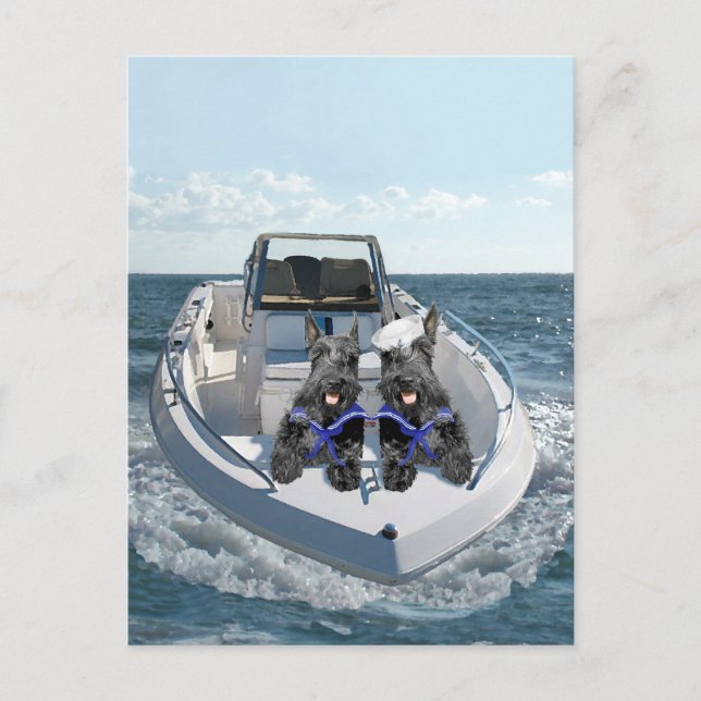 Scottish Terriers på Boat Vykort (Framsida)