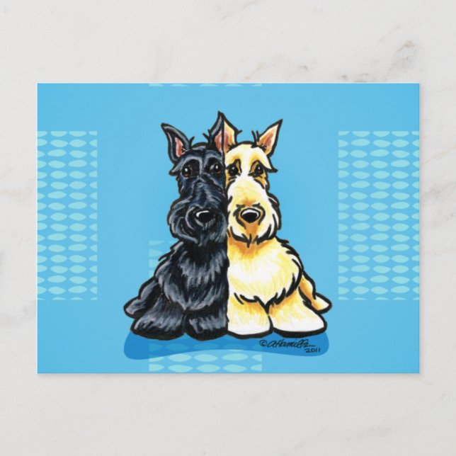 Scottish Terriers Two of a Kind Vykort (Framsida)