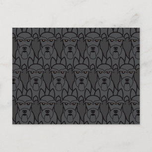 Scottish Terriers Vykort