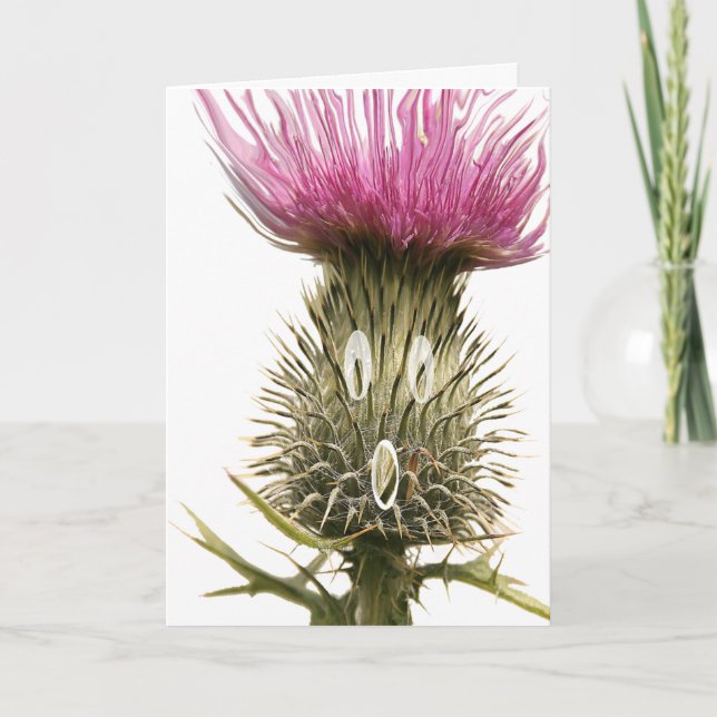 Scottish Thistle Hälsning Card Kort (Framsida)