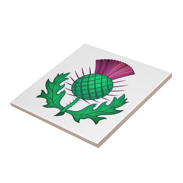 Scottish Thistle Kakelplatta (Sidan)