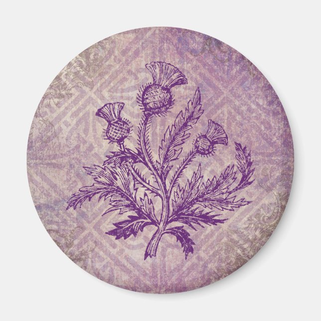 Scottish Thistle Lila Celtic Knot Magnet (Framsidan)