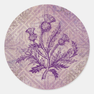 Scottish Thistle Lila Celtic Knot Runt Klistermärke