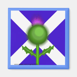 Scottish Thistle och Flagga Magnet