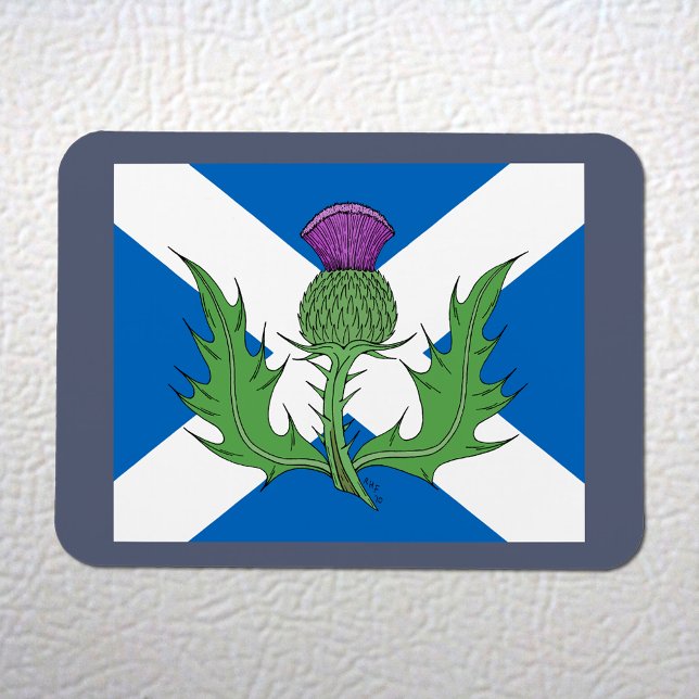 Scottish Thistle och Saltire Magnet (Scottish Thistle and Saltire Flexi Magnet on White Fridge)