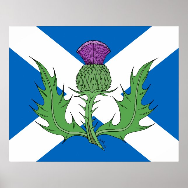 Scottish Thistle och Saltire Poster (Framsidan)