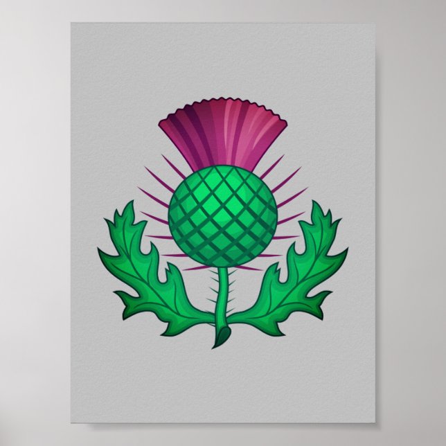 Scottish Thistle Poster (Framsidan)