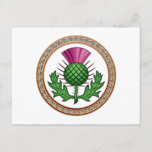 Scottish Thistle Symbol Badge Vykort