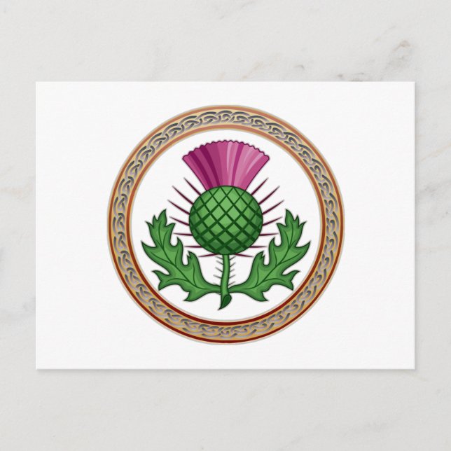 Scottish Thistle Symbol Badge Vykort (Framsida)