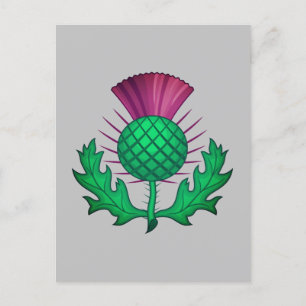 Scottish Thistle Vykort