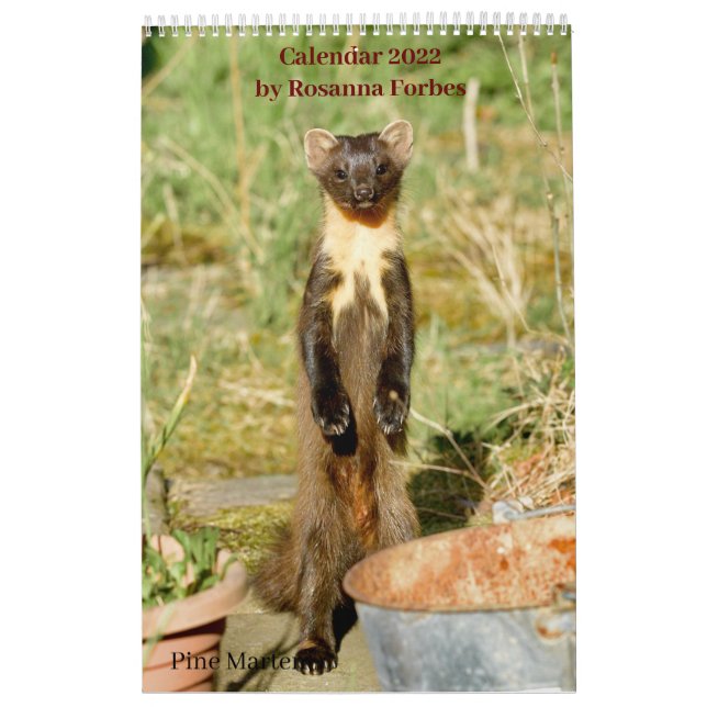 Scottish Wildlife Calendar 2022 Kalender (Omslag)