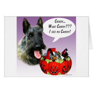 ScottishTerrier Halloween Candy Hälsningskort