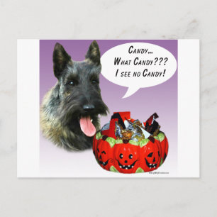 ScottishTerrier Halloween Candy Vykort