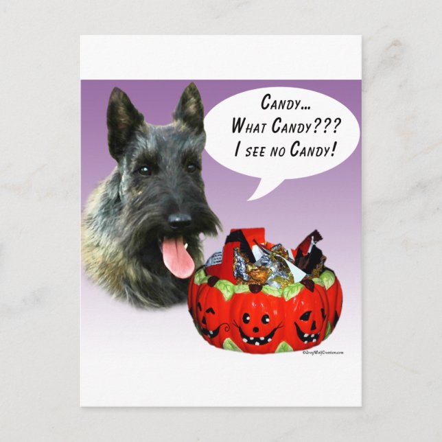 ScottishTerrier Halloween Candy Vykort (Framsida)