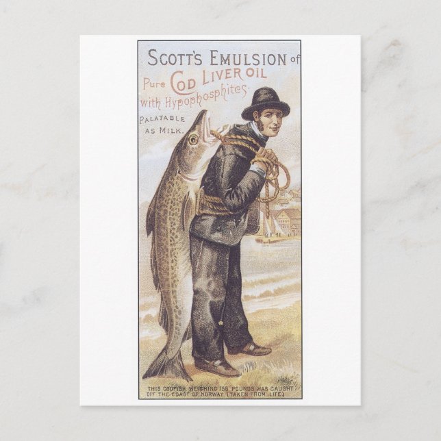 Scotts Emulsion Cod Liver Oil Vykort (Framsida)