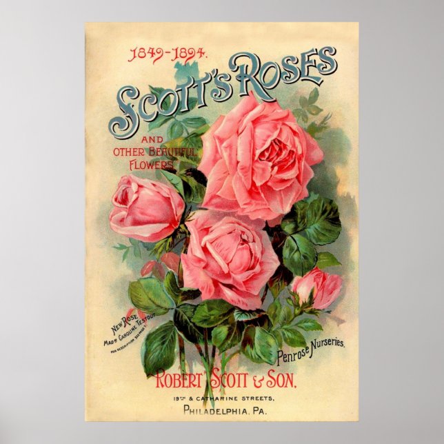 Scotts Ro annons Poster (Framsidan)