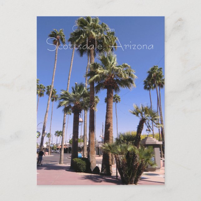Scottsdale, Arizona Postcard Vykort (Framsida)