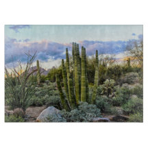 Scottsdale Succulated Sunset