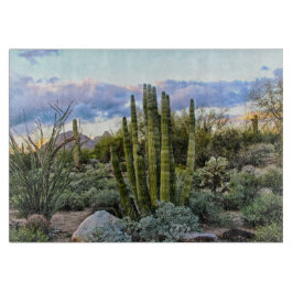 Scottsdale Succulated Sunset