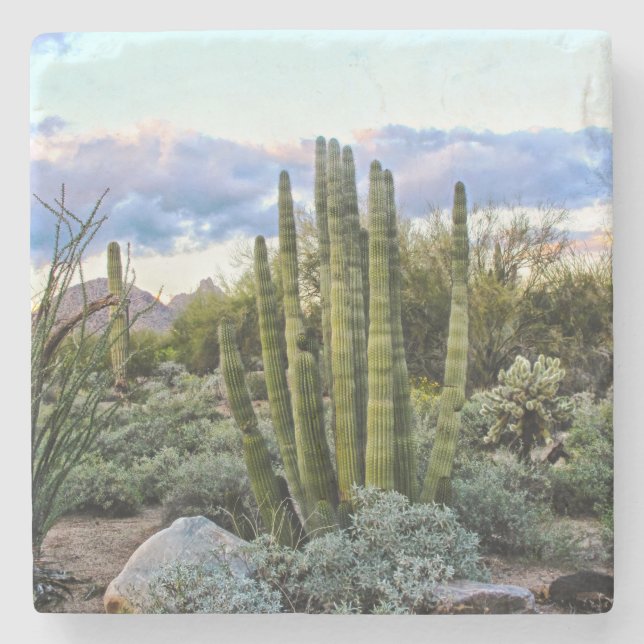 Scottsdale Succulated Sunset Stenunderlägg (Framsidan)