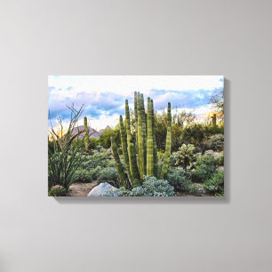 Scottsdale Succulent Sunset Canvastryck