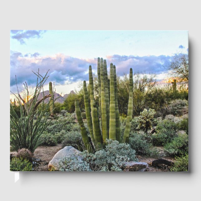 Scottsdale Succulent Sunset Gästböcker (Framsida)