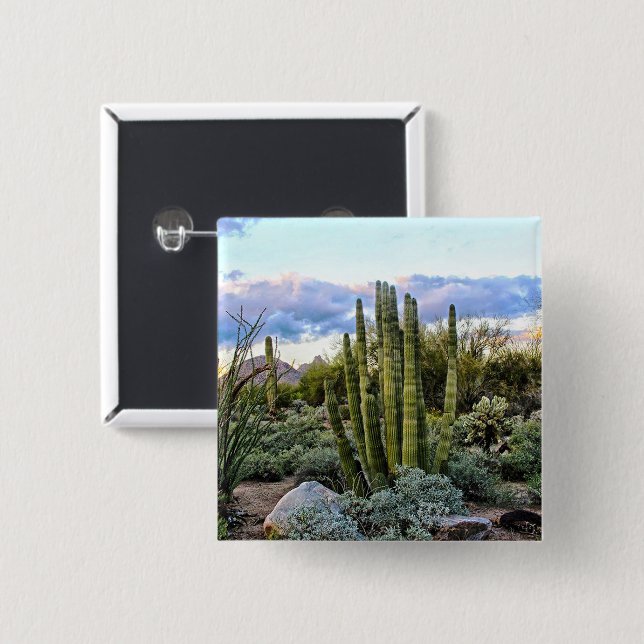 Scottsdale Succulent Sunset Knapp (Framsida & baksida)