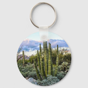 Scottsdale succulent Sunset Nyckelring