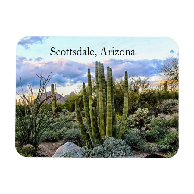 Scottsdale Succulent Sunset, Scottsdale, Arizona Magnet (Horisontell)