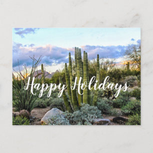 Scottsdale Succulent Sunset, Scottsdale, Arizona Vykort
