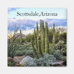 Scottsdale suckulentsolnedgång magnet
