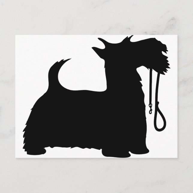 Scotty Hund och Leash Vykort (Framsida)