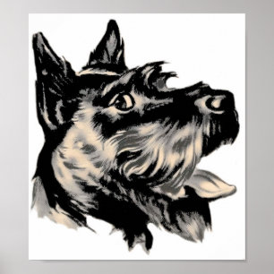 Scotty Hund Poster