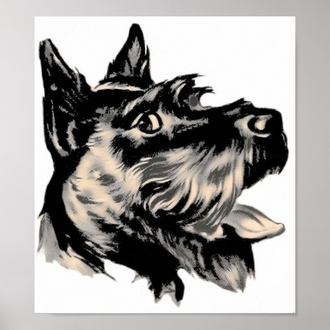 Scotty Hund Poster (Framsidan)