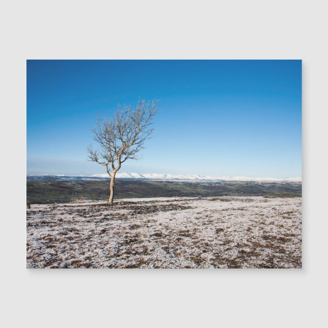 Scout Scar Winter Sjö Distrect England (Framsida)